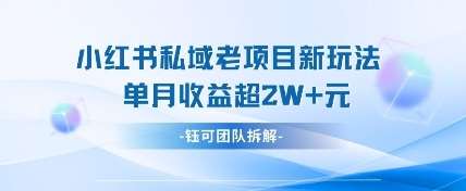 小红书私域项目新玩法，单月变现过W+-泰戈创艺资源库