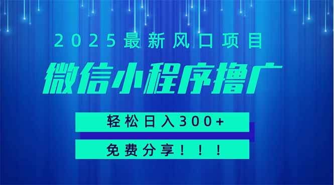 （14375期）微信小程序撸广，最新风口项目，日入300+ 免费分享 可批量操作 小白可…-泰戈创艺资源库