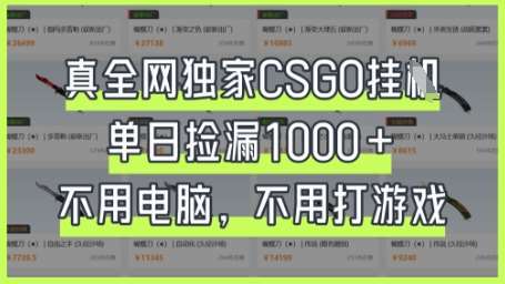 真全网独家CSGO挂G，单日捡漏1k+【揭秘】-泰戈创艺资源库
