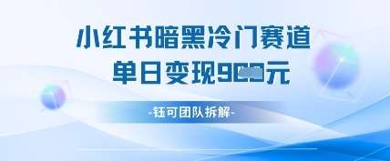 小红书冷门”暗黑”赛道，单日收益多张-泰戈创艺资源库