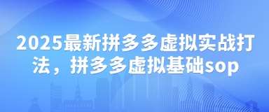 2025最新拼多多虚拟实战打法，拼多多虚拟基础sop-泰戈创艺资源库