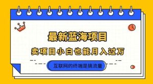 (14289期)2025年最新蓝海项目,卖项目小白也能月入过万-泰戈创艺资源库