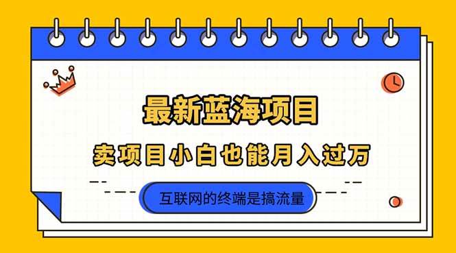 （14289期）2025年最新蓝海项目，卖项目小白也能月入过万-泰戈创艺资源库