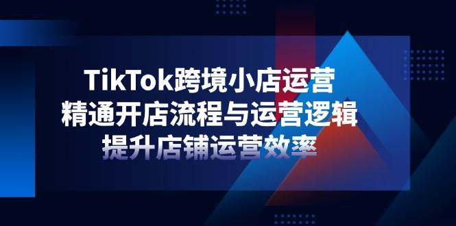 （14369期）TikTok跨境小店运营，精通开店流程与运营逻辑，提升店铺运营效率-泰戈创艺资源库
