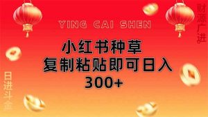 （14350期）小红书种草无脑操作复制粘贴即可日入300+-泰戈创艺资源库