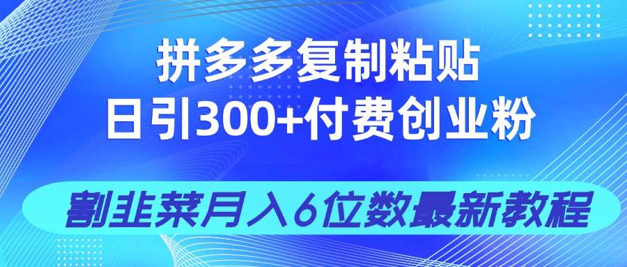 （14232期）拼多多复制粘贴日引300+付费创业粉，割韭菜月入6位数最新教程！-泰戈创艺资源库