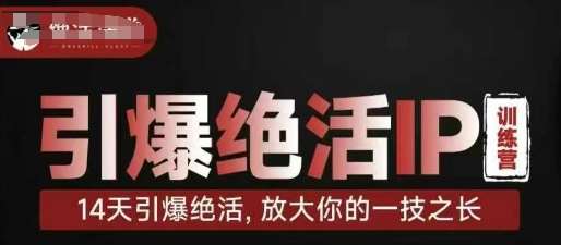 引爆绝活IP训练营，14天引爆绝活，放大你的一技之长-泰戈创艺资源库