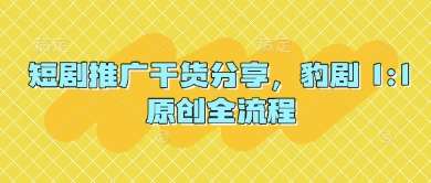 短剧推广干货分享，豹剧 1:1原创全流程-泰戈创艺资源库