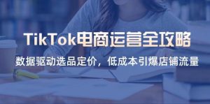 (14343期)TikTok电商运营全攻略,数据驱动选品定价,低成本引爆店铺流量-泰戈创艺资源库