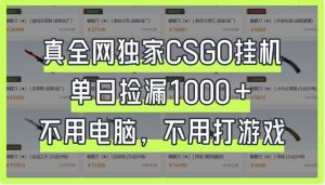 真全网独家CSGO挂机,单日捡漏1000+,不用电脑,不用养号-泰戈创艺资源库
