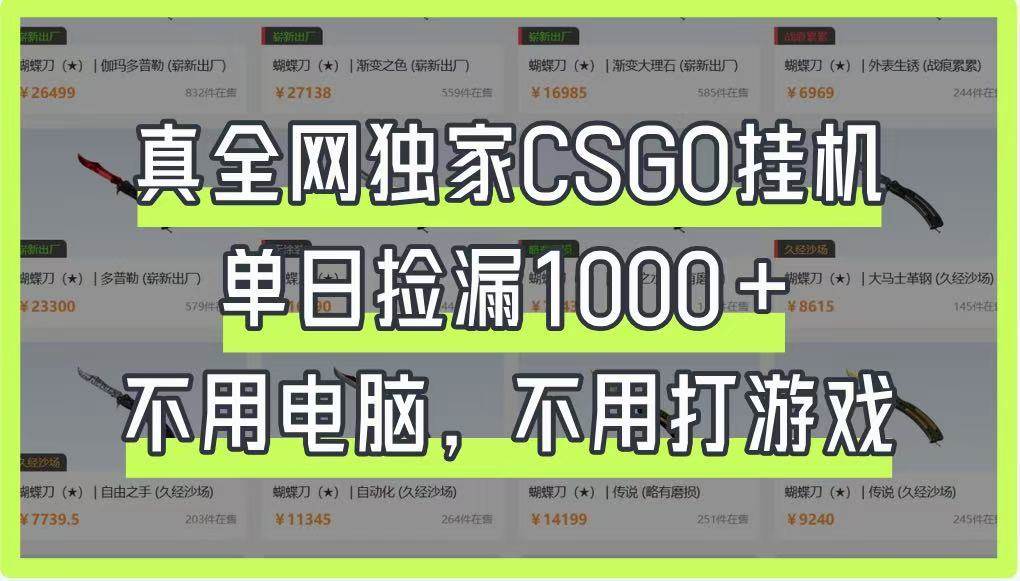 真全网独家CSGO挂机，单日捡漏1000+，不用电脑，不用养号-泰戈创艺资源库
