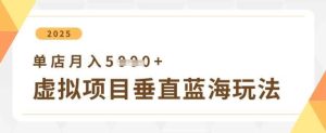 虚拟项目垂直玩法,实现单店月入5k+-泰戈创艺资源库