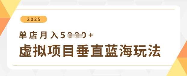 虚拟项目垂直玩法，实现单店月入5k+-泰戈创艺资源库