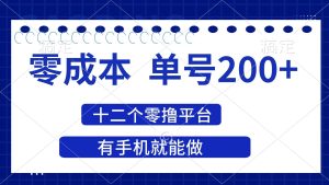 （14322期）2025年零成本单号200+，十二个零撸平台撸收益，有手机就能做-泰戈创艺资源库