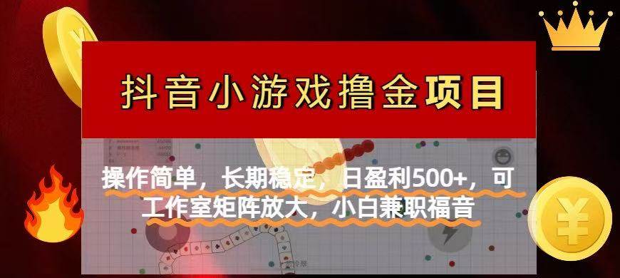 （14290期）【抖音小游戏发行人计划项目】操作简单，长期稳定，日盈利500+，可工作…-泰戈创艺资源库
