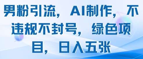 男粉引流，AI制作，不违规不封号，绿色项目，日入五张-泰戈创艺资源库