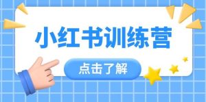 （14545期）小红书训练营，助小白入门，掌握技巧变达人，课程实操又全面（12节课）-泰戈创艺资源库