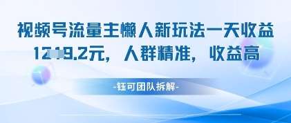 视频号流量主懒人新玩法，一天收益1k，人群精准收益高-泰戈创艺资源库
