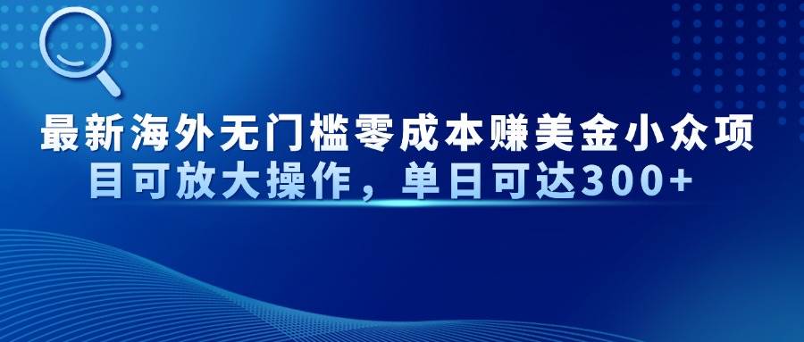 （14542期）最新海外无门槛零成本赚美金小众项目可放大操作，单日可达300+-泰戈创艺资源库