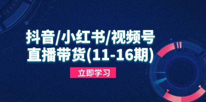 （14611期）抖音/小红书/视频号/直播带货(11-16期)，快速掌握平台规则，打造爆款内容-泰戈创艺资源库