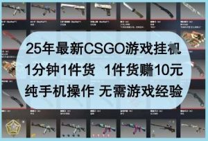 25年最新CSGO游戏挂G,1分钟1件货,1件货挣10元,纯手机操作,无需游戏经验【揭秘】-泰戈创艺资源库
