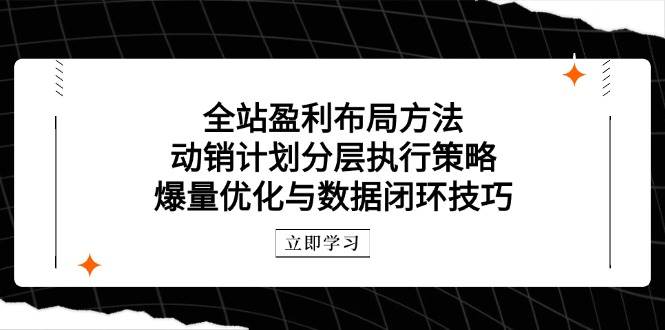 （14698期）全站盈利布局方法：动销计划分层执行策略，爆量优化与数据闭环技巧-泰戈创艺资源库