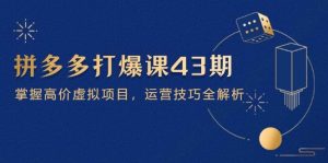 (14546期)拼多多打爆课第 43 期,掌握高价虚拟项目,运营技巧全解析(15节)-泰戈创艺资源库