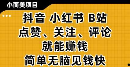 小而美的项目，抖音小红书B站视频点赞、关注、评论就能挣钱，简单无脑立见收益，妥妥的零撸项目【揭秘】-泰戈创艺资源库