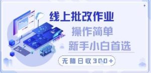 线上批改作业，操作简单新手小白首选，无脑日收300+【揭秘】-泰戈创艺资源库