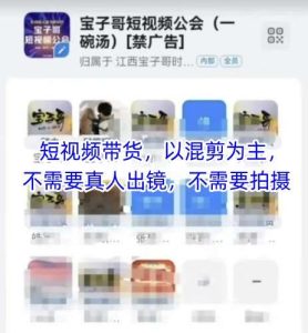 宝子哥头部团队短视频带货,以混剪为主,不需要真人出镜,不需要拍摄-泰戈创艺资源库