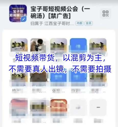 宝子哥头部团队短视频带货，以混剪为主，不需要真人出镜，不需要拍摄-泰戈创艺资源库