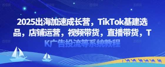 2025出海加速成长营，TikTok基建选品，店铺运营，视频带货，直播带货，TK广告投流等系统教程-泰戈创艺资源库
