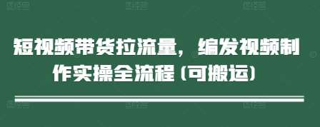 短视频带货拉流量，编发视频制作实操全流程(可搬运)-泰戈创艺资源库