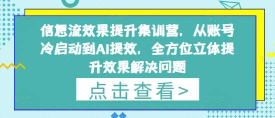 信息流效果提升集训营，从账号冷启动到AI提效，全方位立体提升效果解决问题-泰戈创艺资源库