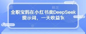 全职宝妈在小红书卖DeepSeek提示词,一天收益1k-泰戈创艺资源库