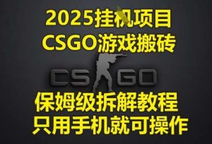 2025挂G项目，CSGO游戏搬砖，保姆级拆解教程，只用手机就可操作【揭秘】-泰戈创艺资源库