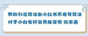 男粉引流玩法(新),玩法友好做的好当天就能变现-泰戈创艺资源库
