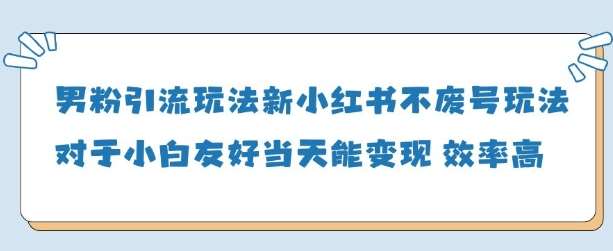 男粉引流玩法(新)，玩法友好做的好当天就能变现-泰戈创艺资源库