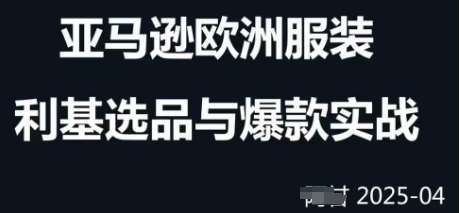 跨境电商选品案例24-25年，聚焦跨境电商选品策略与运营优化，助力卖家挖掘蓝海市场-泰戈创艺资源库