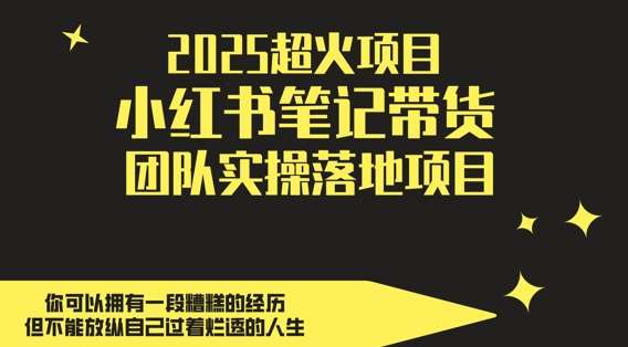 2025超火项目，副业最佳选择，小红书笔记带货团队实操落地项目，，轻松日入5张-泰戈创艺资源库