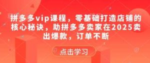 拼多多vip课程，零基础打造店铺的核心秘诀，助拼多多卖家在2025卖出爆款，订单不断-泰戈创艺资源库