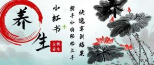 疯狂火爆,用Deepseek小红书平台的女性古声古韵养生爆款,小白轻松制作,快速拿到结果-泰戈创艺资源库