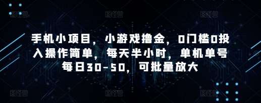手机小项目，小游戏撸金，0门槛0投入操作简单，每天半小时，单机单号每日30-50，可批量放大-泰戈创艺资源库