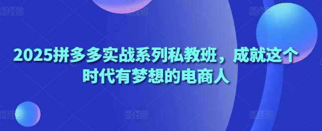 2025拼多多实战系列私教班，成就这个时代有梦想的电商人-泰戈创艺资源库