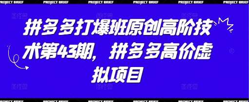 拼多多打爆班原创高阶技术第43期，拼多多高价虚拟项目-泰戈创艺资源库