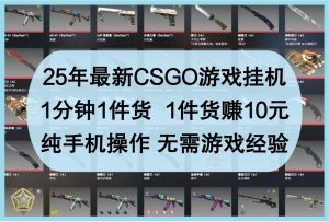 25年最新CSGO游戏挂机,1分钟1件货,1件货赚10元,纯手机操作,无需游戏经验-泰戈创艺资源库
