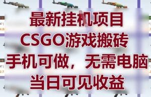 最新挂G项目,CSGO游戏搬砖,手机可做,无需电脑,当日见收益【揭秘】-泰戈创艺资源库
