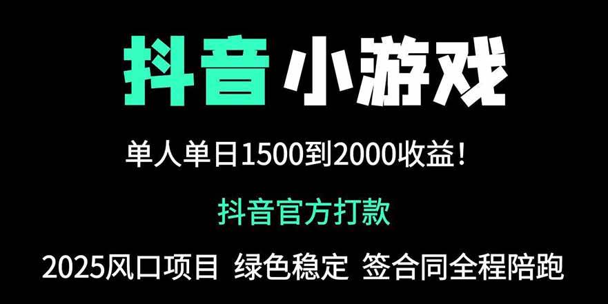 （14527期）抖音官方小游戏2025全网最新玩法，暴利赚钱项目，单机日入2000+，绝不…-泰戈创艺资源库