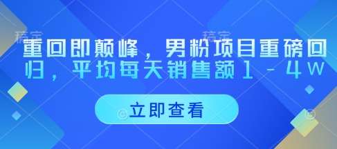 重回即颠峰，男粉项目重磅回归，平均每天销售额1-4W-泰戈创艺资源库