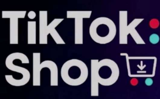 TikTokShop跨境电商0-1实战，手把手教你低成本启动海外市场（更新）-泰戈创艺资源库